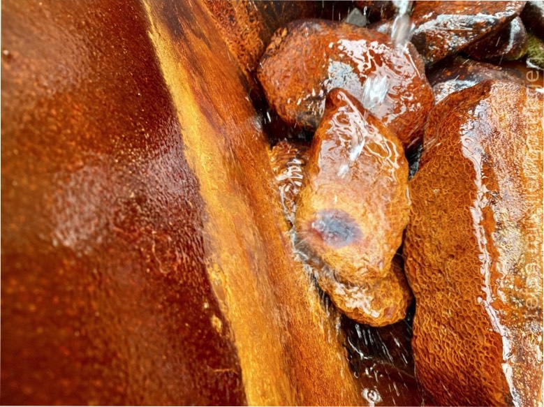 Fotografie auf Forexplatte gerahmt