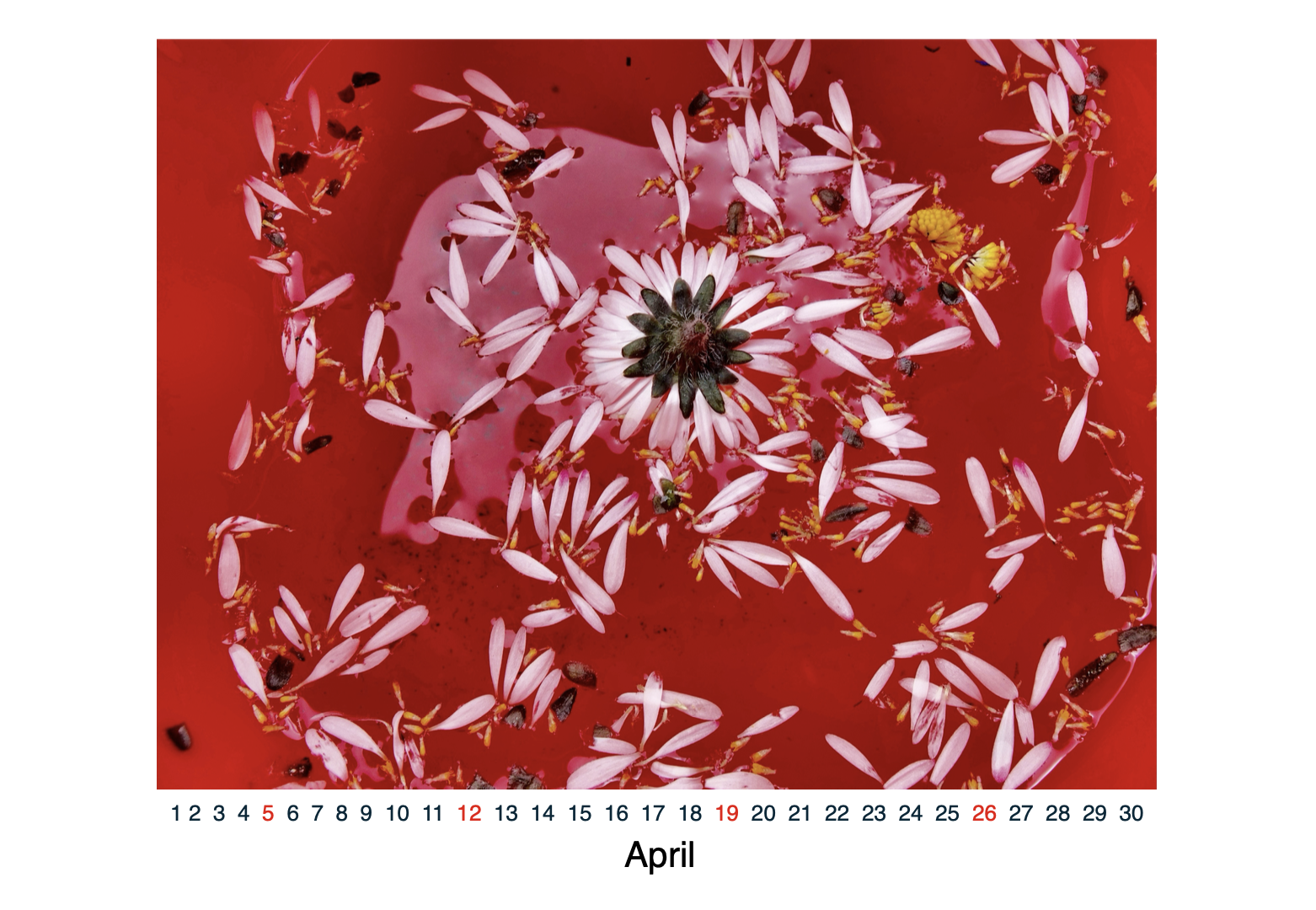 Bildschirmfoto 2025-10-20 um 15.58.49