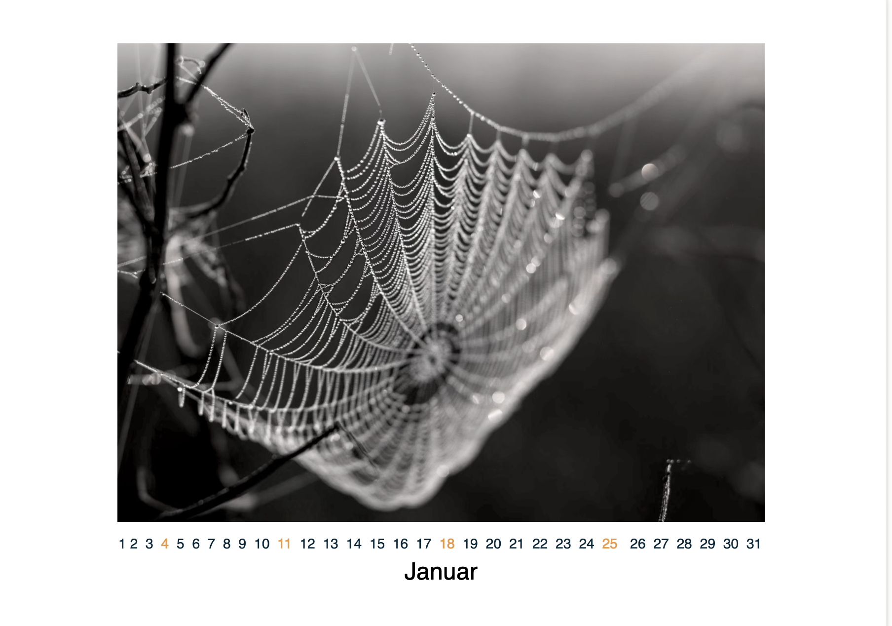 Bildschirmfoto 2025-10-20 um 16.24.27